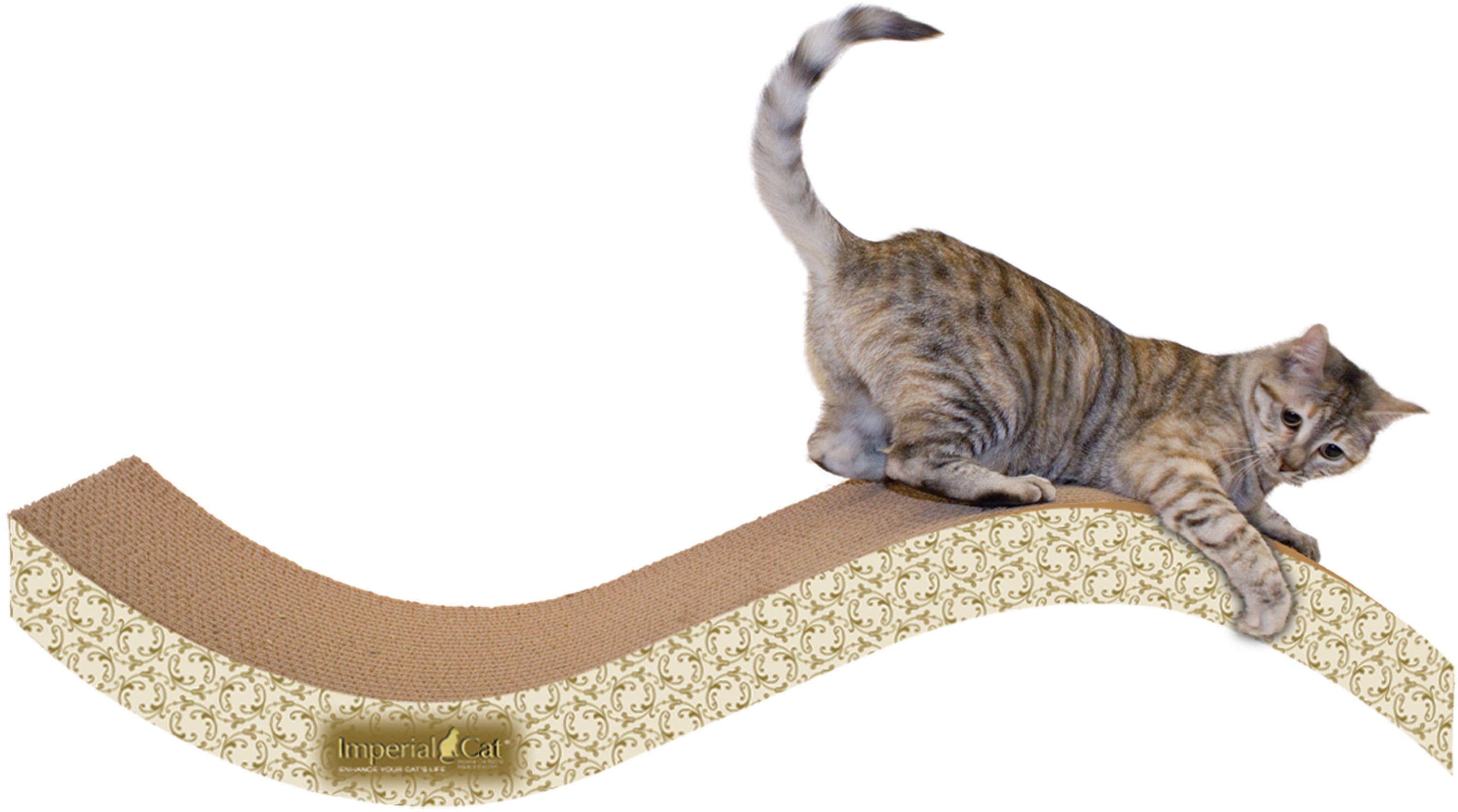 Imperial Cat Scratch 'n Shapes Giant Purrfect Stretch - Paisley