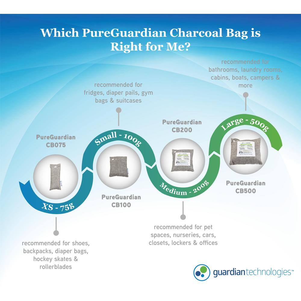 Pure Guardian Air Purifying Bamboo Charcoal Bag 17.6 oz (2-Pack) CB5002PK