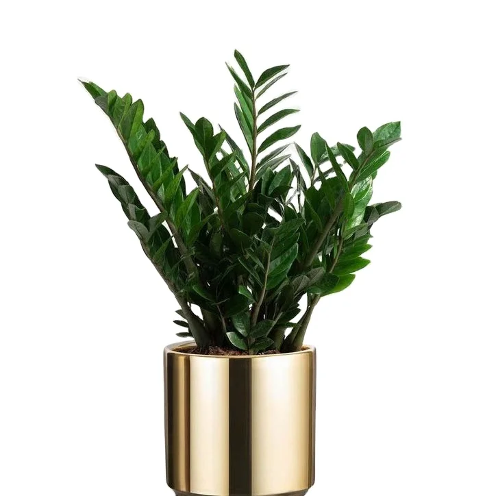 New Arrival Outdoor Garden Usage Customized Size Metal Planter Medium Size Copper Finishing Metal Planter