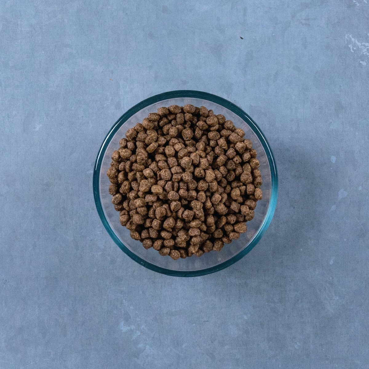 Evolve Chicken， Pea， and Sweet Potato Recipe Kitten Formula Grain-Free Dry Kitten Food