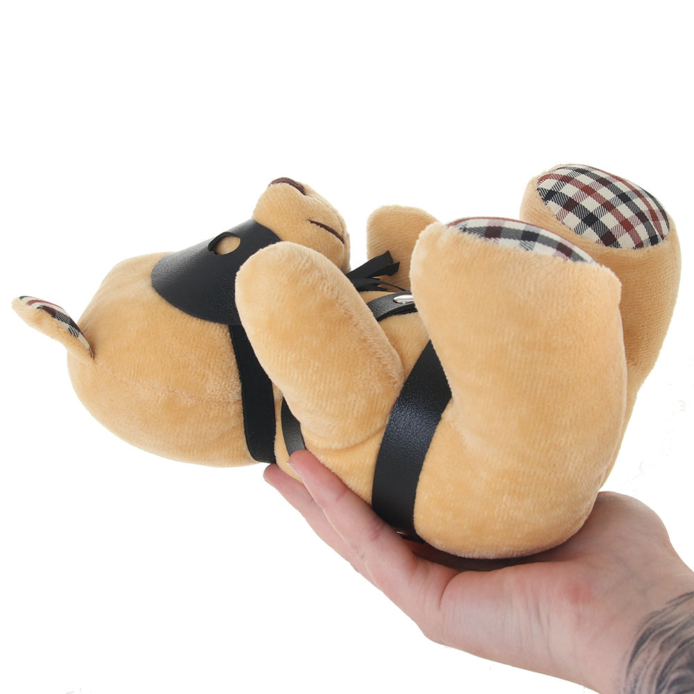 Master Series BDSM Teddy Bear