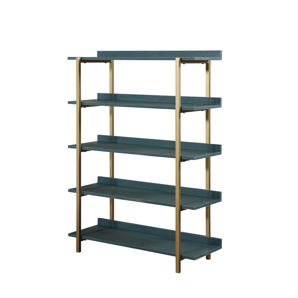 Bizi Contemporary Metal 5 Tier Display Shelf by Furniture of America