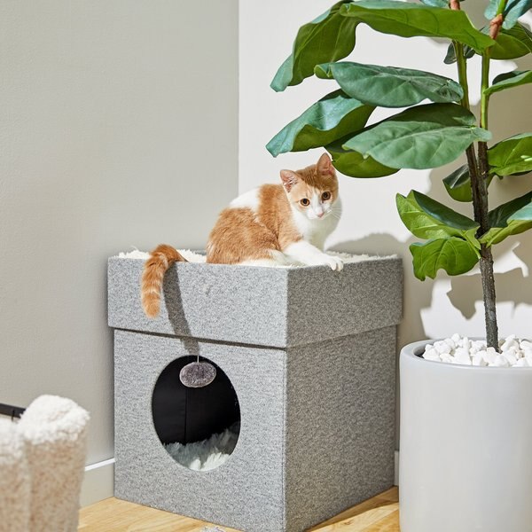 Frisco Single Cube Stackable and Collapsible Cat Condo， Gray