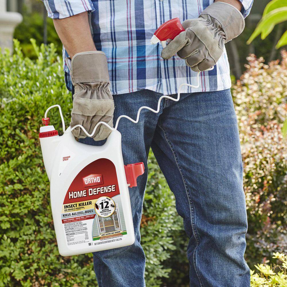 Ortho Home Defense 1 gal. Insect Killer for Indoor  Perimeter2 Ready-To-Use Trigger Sprayer 022081004
