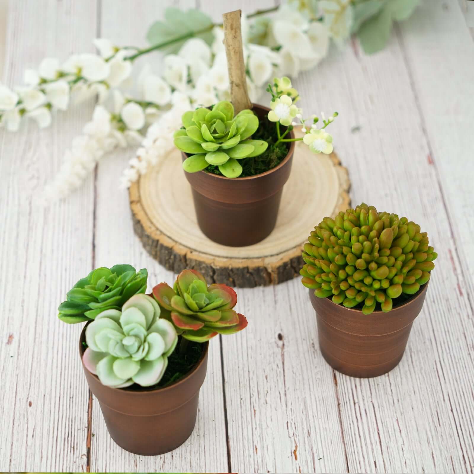 3 Pack Rustic Brown Small Flower Plant Pots, Indoor Decorative Planters 3