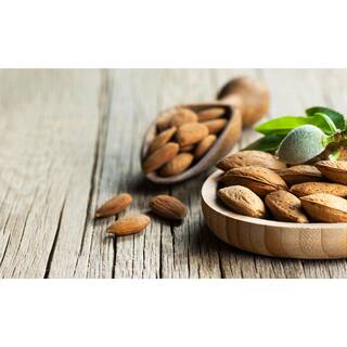 Online Orchards 3 ft. Texas Mission Almond Tree NTAL004