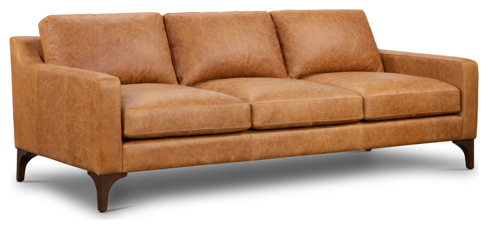 Poly and Bark Sorrento Leather Sofa   Midcentury   Sofas   by Edgemod Furniture  Houzz