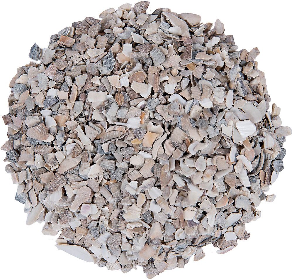 Small Pet Select Oyster Shell Calcium Poultry Supplement