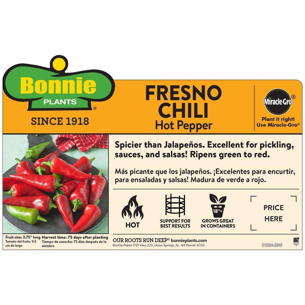 Bonnie Plants 19 oz. Fresno Chili Hot Pepper Plant 2905