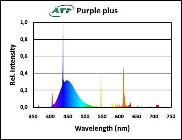 ATI T5 Purple Plus Aquarium Bulb， 54-watt