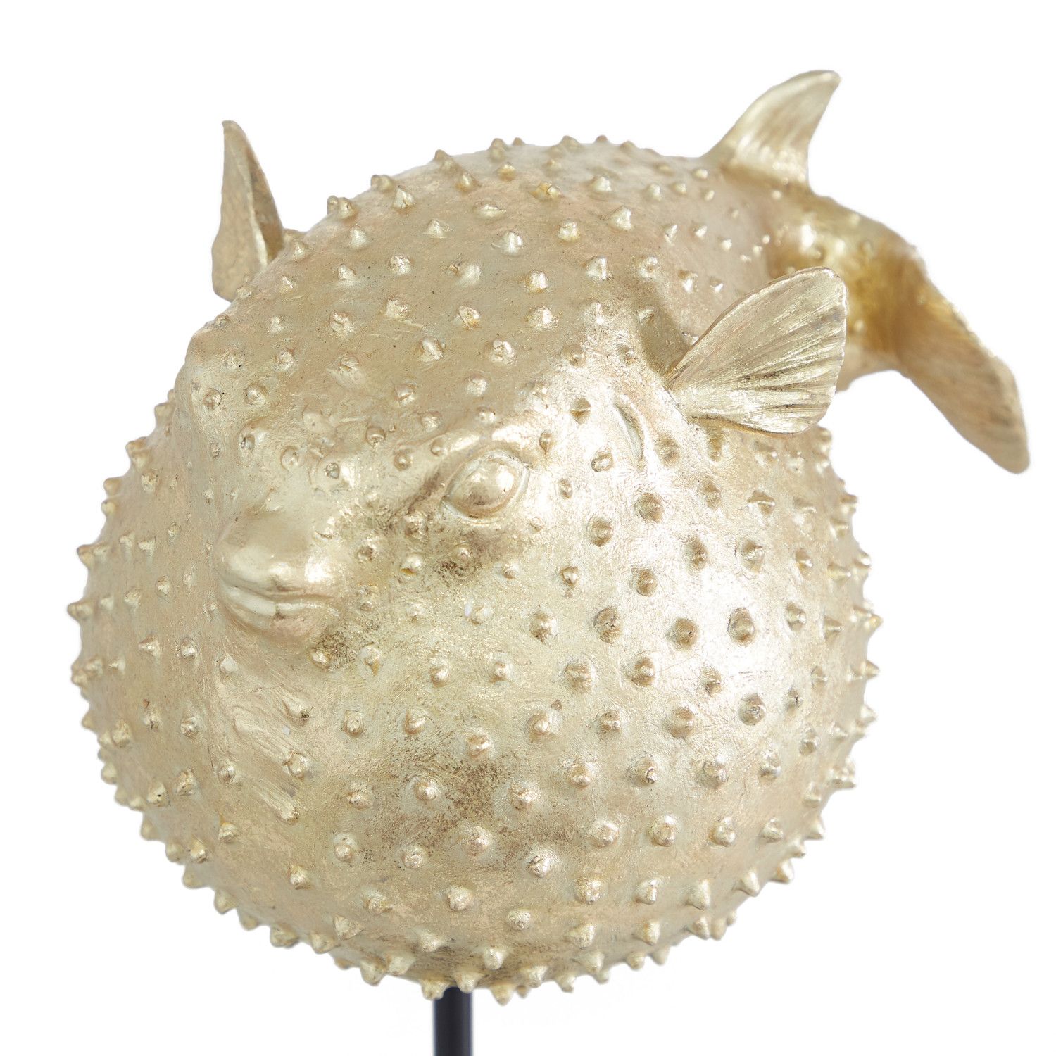 Stella and Eve Polyresin Coastal Fish Sculpture