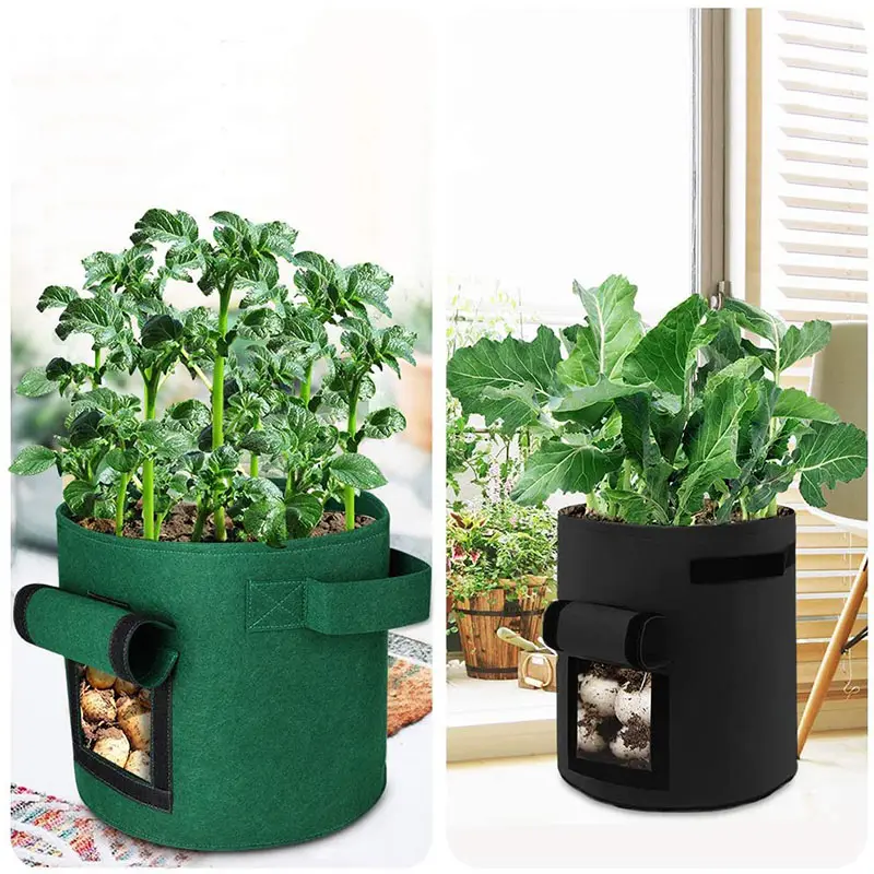 Plant fabric smart bag polyester felt 1 3 5 gallon garden supply felt green grow bag for growing flowers