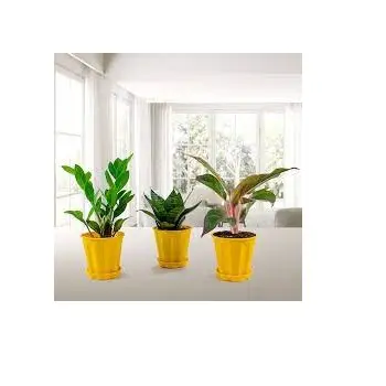 Huge Metal Planter Set of Two Custom Made Metal Planter Pots Garden Supplies For Living Room Use Home Decoration