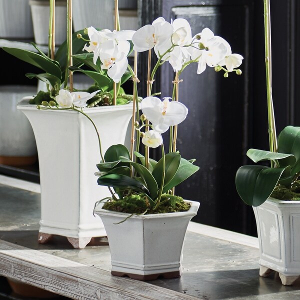 Barclay Butera Phalaenopsis In Ceramic Pot 18.5