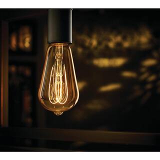 EcoSmart 40-Watt Equivalent ST19 Dimmable M-Shape Filament LED Vintage Edison Light Bulb Amber (1-Pack) ST19A5E26822M