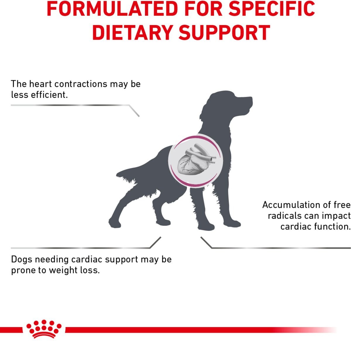 Royal Canin Veterinary Diet Adult Renal Support D Thin Slices in Gravy Canned Dog Food