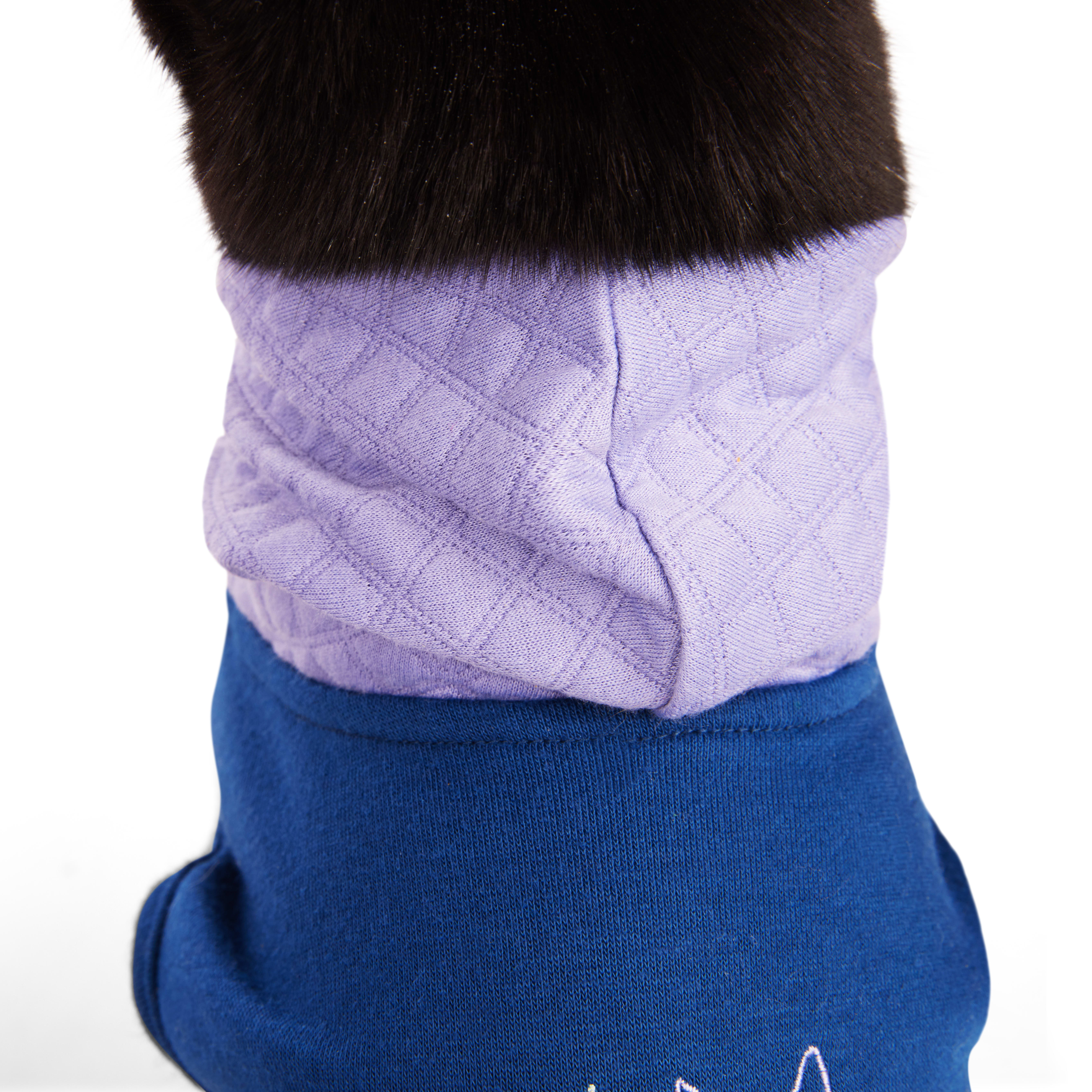 YOULY Caturday Cat Hoodie， Small/Medium