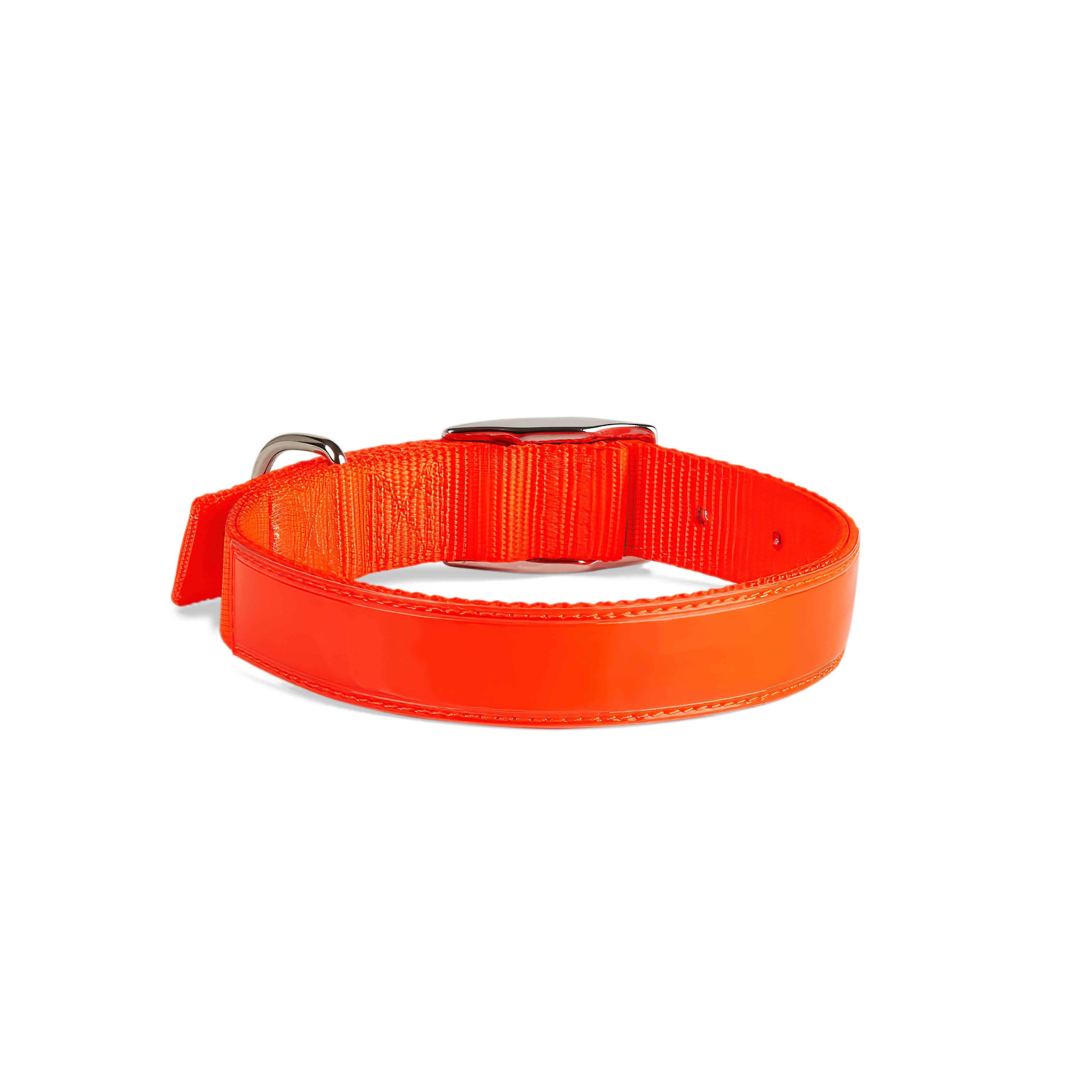 YOULY Bright Orange Reflective Dog Collar， Medium