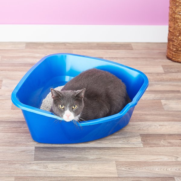 Van Ness High Side Corner Cat Litter Pan， Blue