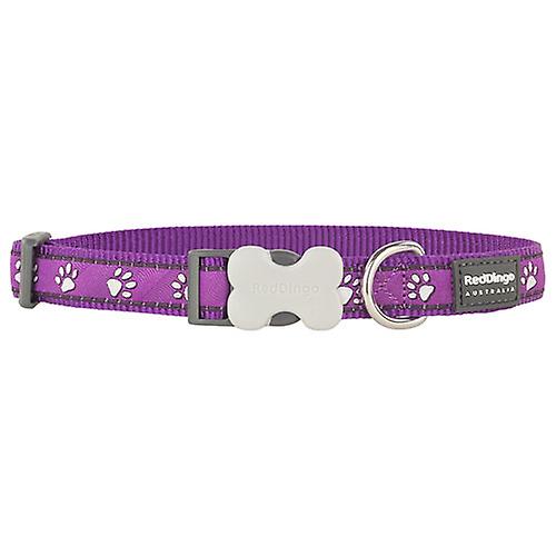 Desert Paws Dog Collar (Purple)