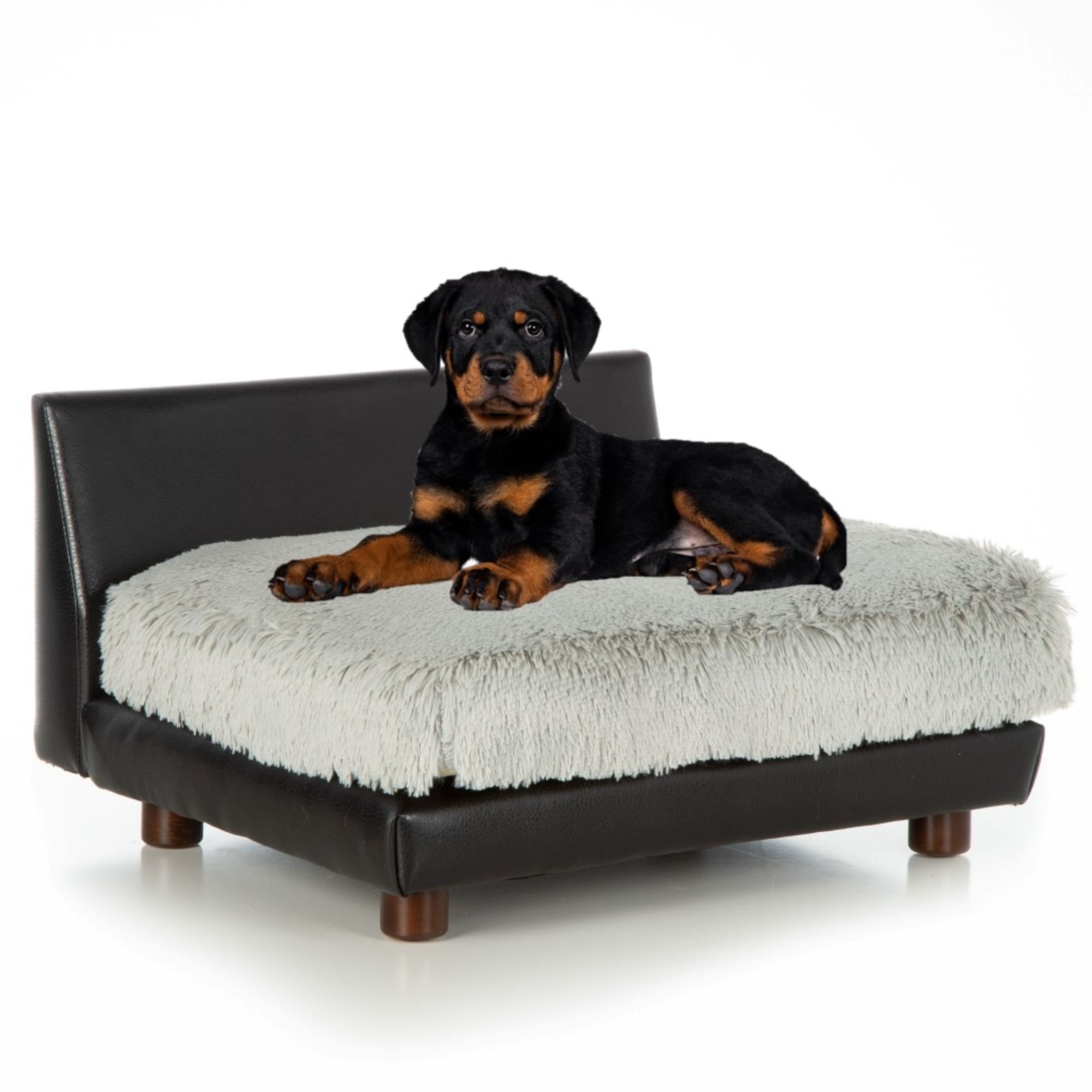 CLUB NINE PETS Roma Orthopedic Dog Bed， 21