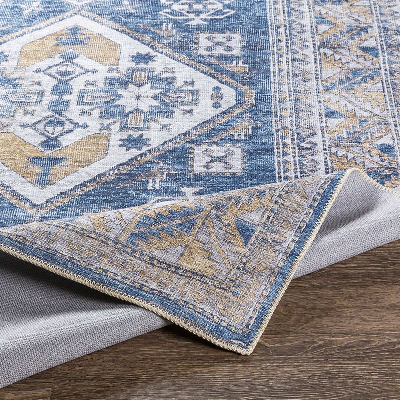 Langedijk Traditional Washable Area Rug