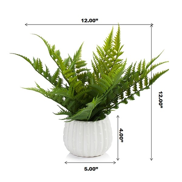 Enova Home 12 Inch Artificial Fern Plant Arrangement in Round Tapered Ceramic Pot with Faux Water