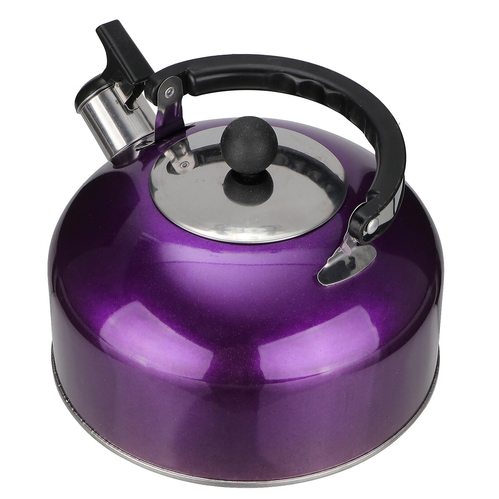 Whistling Tea Kettle Household Kitchen Tea Kettle Professional Whistling Kettle