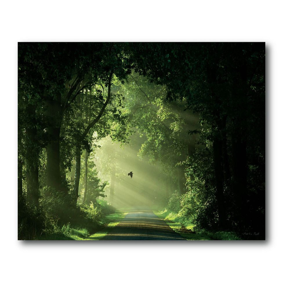 COURTSIDE MARKET Emerald Forest Canvas Wall Art