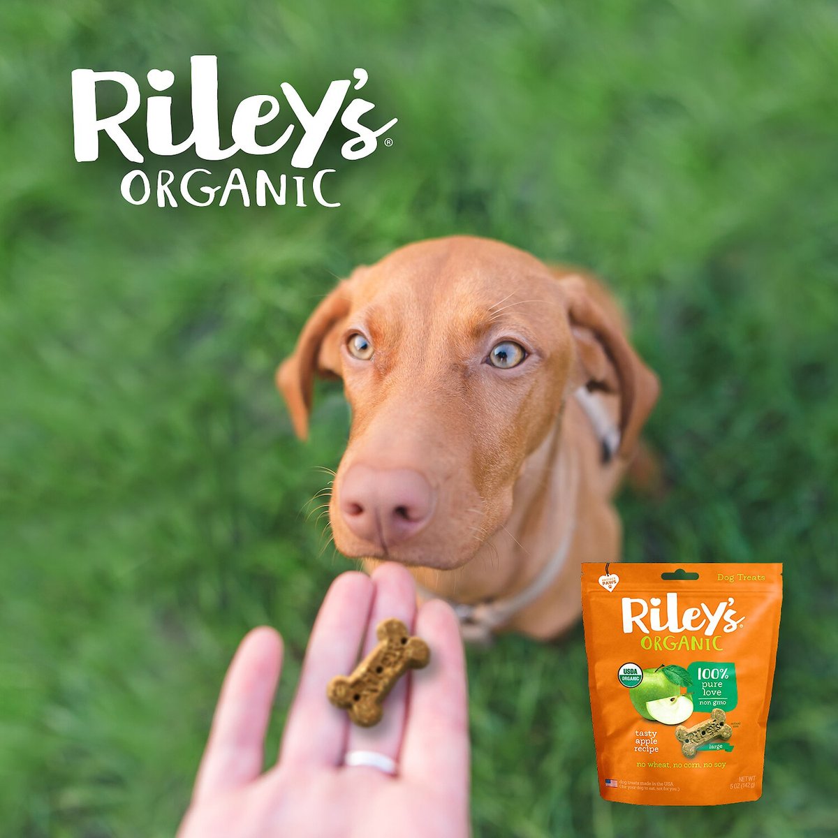 Riley's Organic Tasty Apple Bone Dog Treats， 5-oz， Large