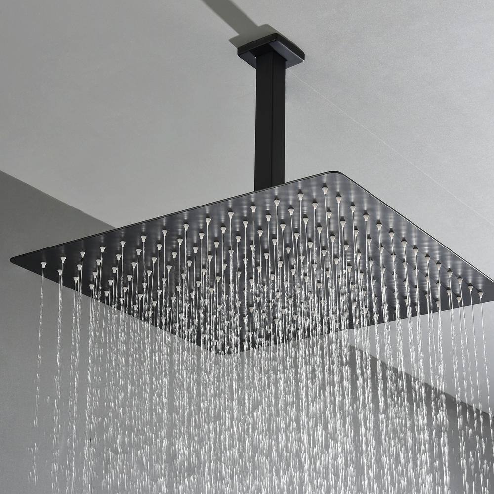 WELLFOR 1-Spray Patterns with 2.5 GPM 16 in. Ceiling Mount Rain Fixed Shower Head in Matte Black WA-F16-MB