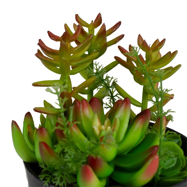 Mixed Succulent Artificial Plant Arrangement In Pot - Green/red