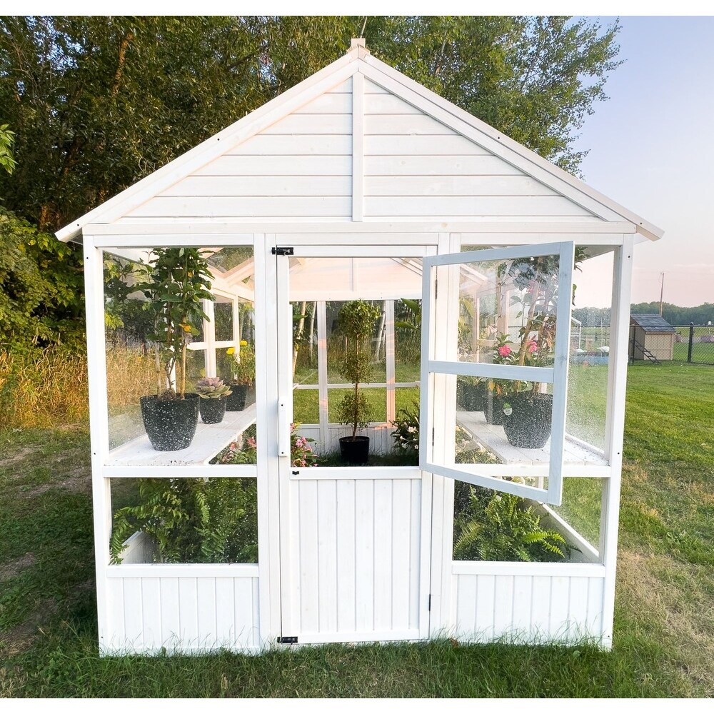 Zylina XL Hobby Greenhouse   103 x 78 x 89