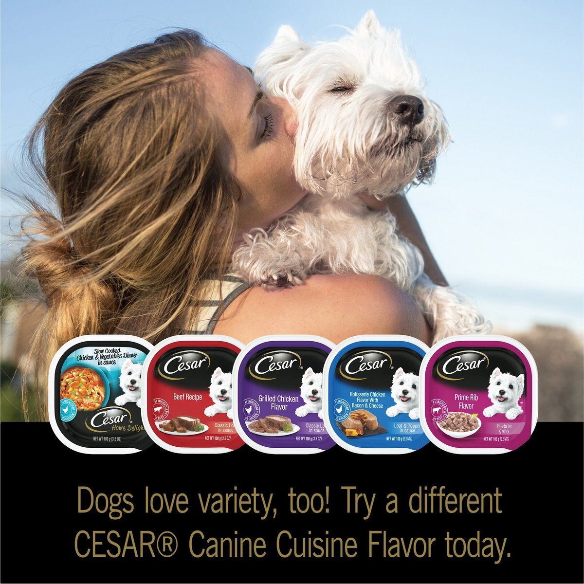 Cesar Home Delights Slow Cooked Chicken and Vegetables and Beef Stew Variety Pack Dog Food Trays