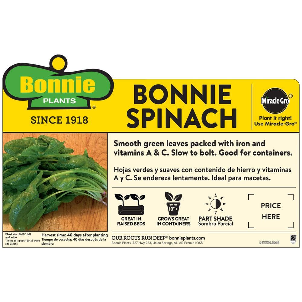 Bonnie Plants 1.19 qt. Spinach Plant (6-Pack) 0070