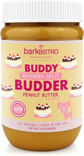 Bark Bistro Company Banana Split Buddy Budder Dog Treat， 17-oz jar