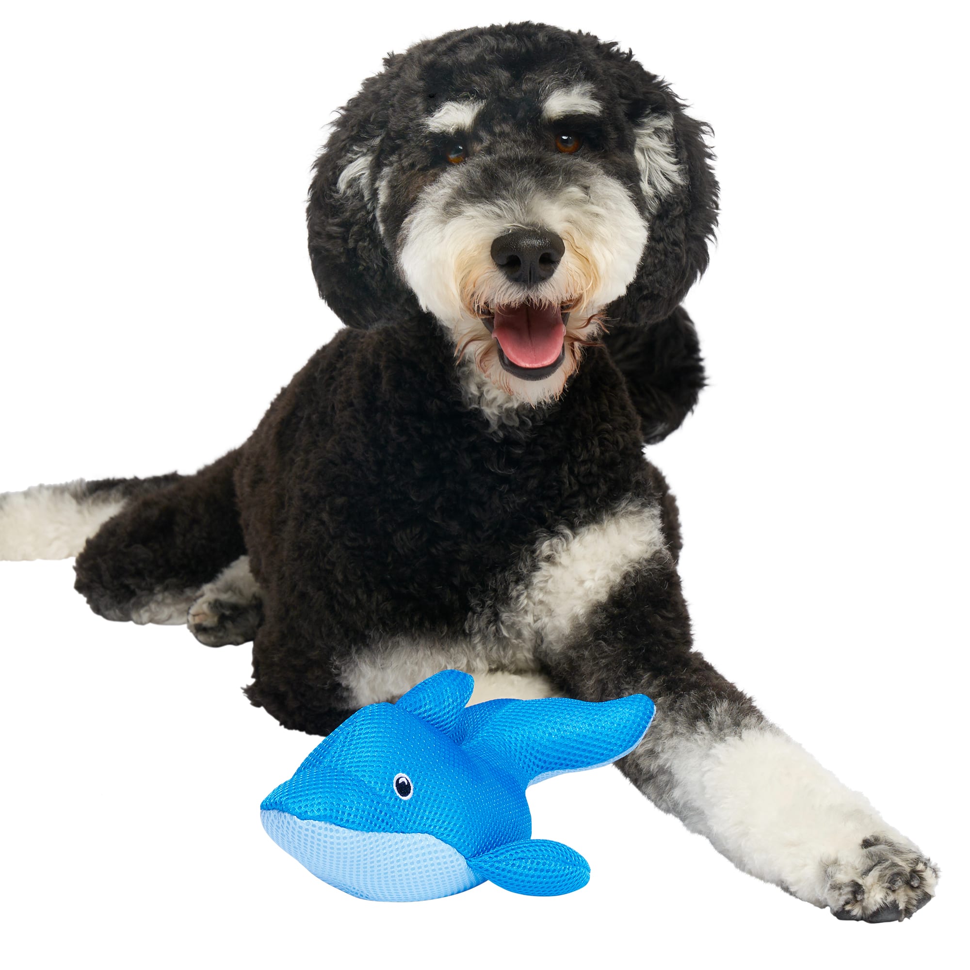 Canada Pooch Blue Chill Seeker Dolphin Cooling Pals Dog Toy