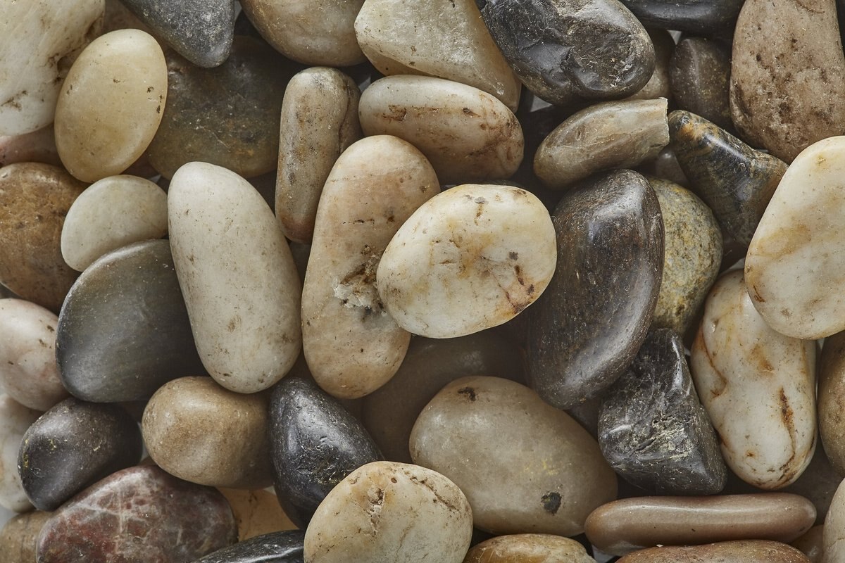 Exotic Pebbles Polished Mixed Reptile and Terrarium Pebbles