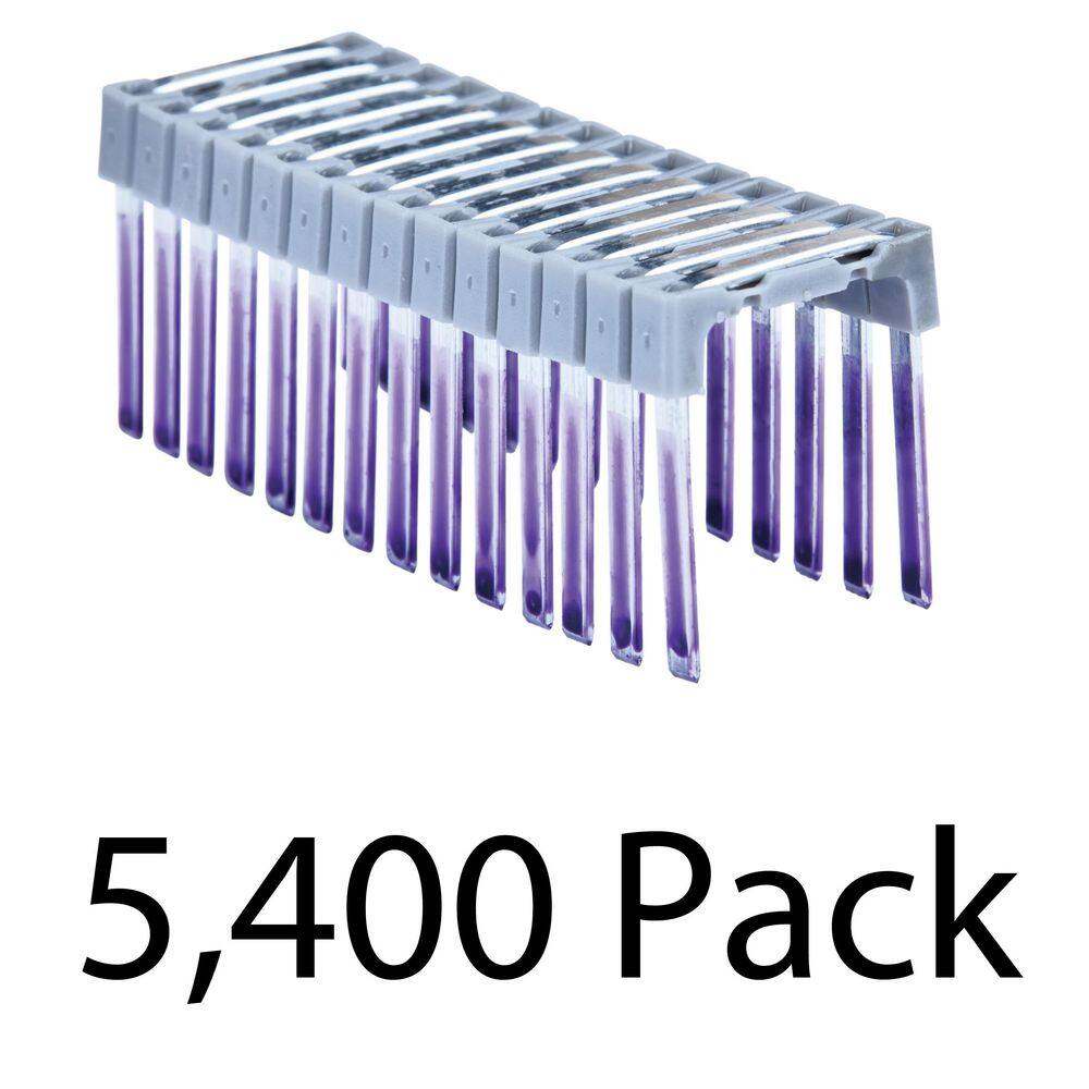 DW 1 in. Insulated Electrical Staples 10 Boxes (540 Per Box) DRS18100X10