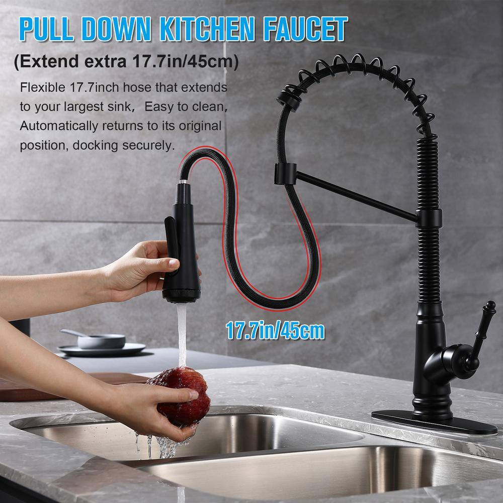 ELLOALLO Single-Handle Pull-Down Sprayer Kitchen Faucet with 4-Modes in Matte Black EKF-B-816