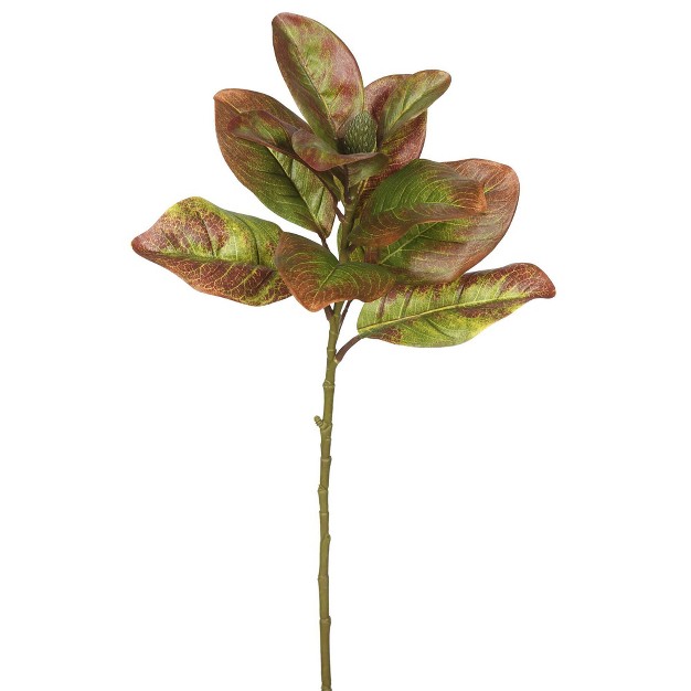 Artificial Single Magnolia Leaves pk 3 Autumn Vickerman