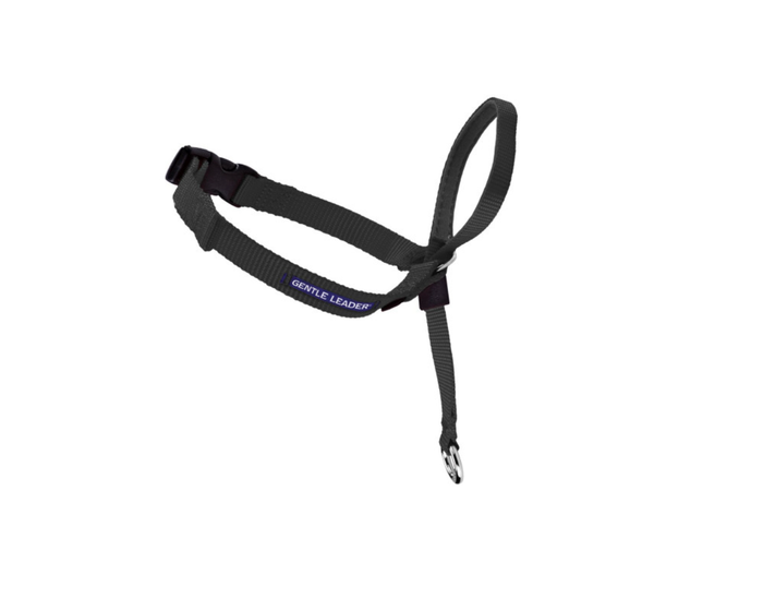 PetSafe Gentle Leader Dog Headcollar， Medium， Black