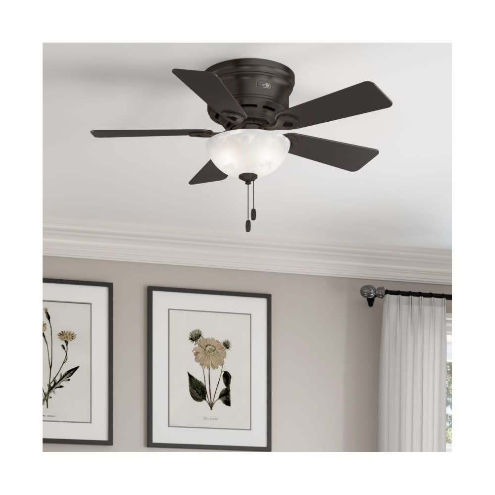 Hunter Haskell Ceiling Fan 42 Premier Bronze Dark Mocha ;