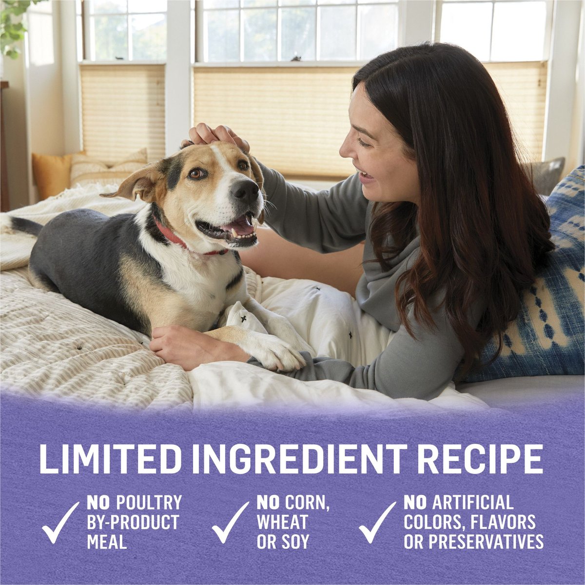 Purina Beyond Grain-Free Turkey and Sweet Potato Recipe Ground Entree Canned Dog Food