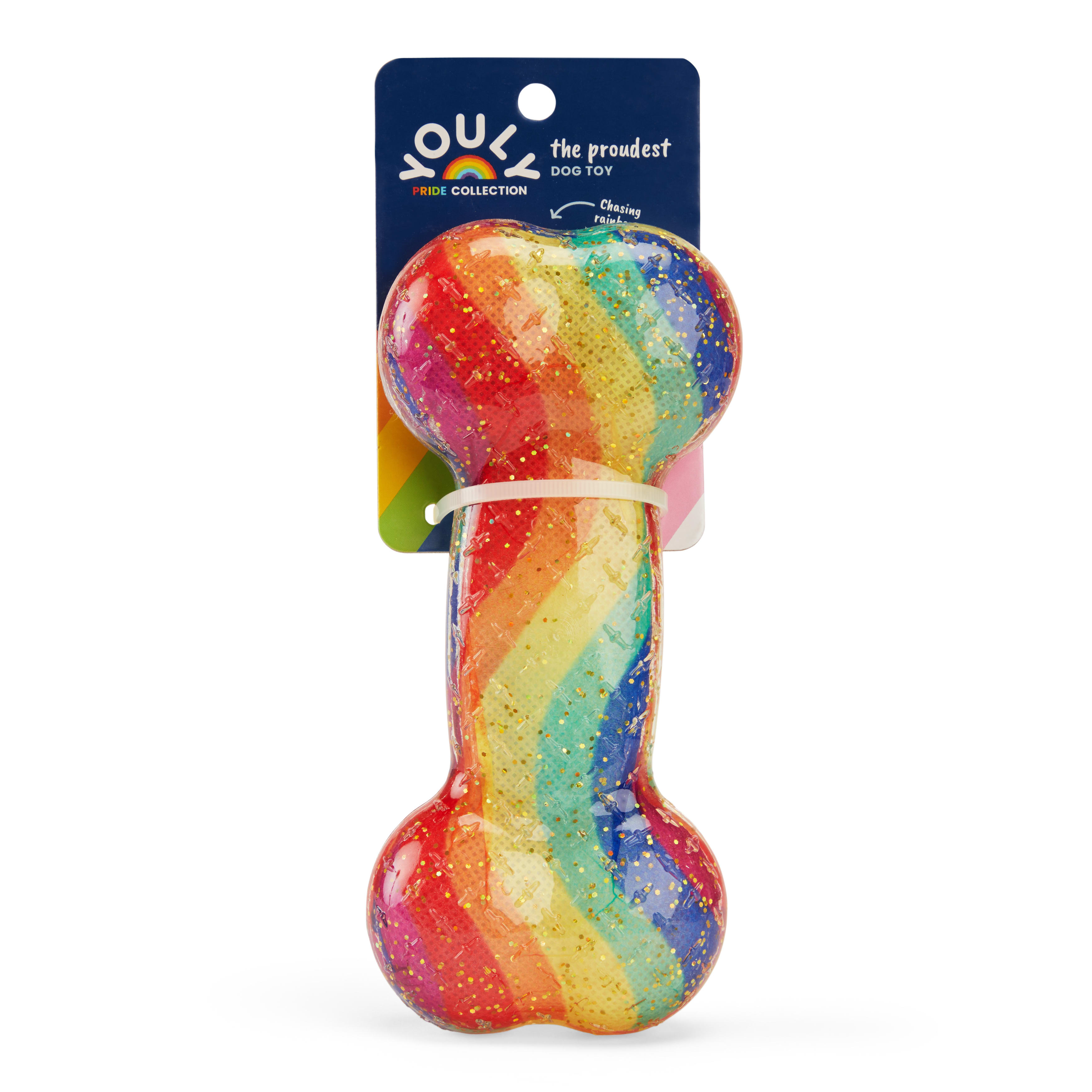 YOULY Rainbow TPR Bone Dog Toy， Small