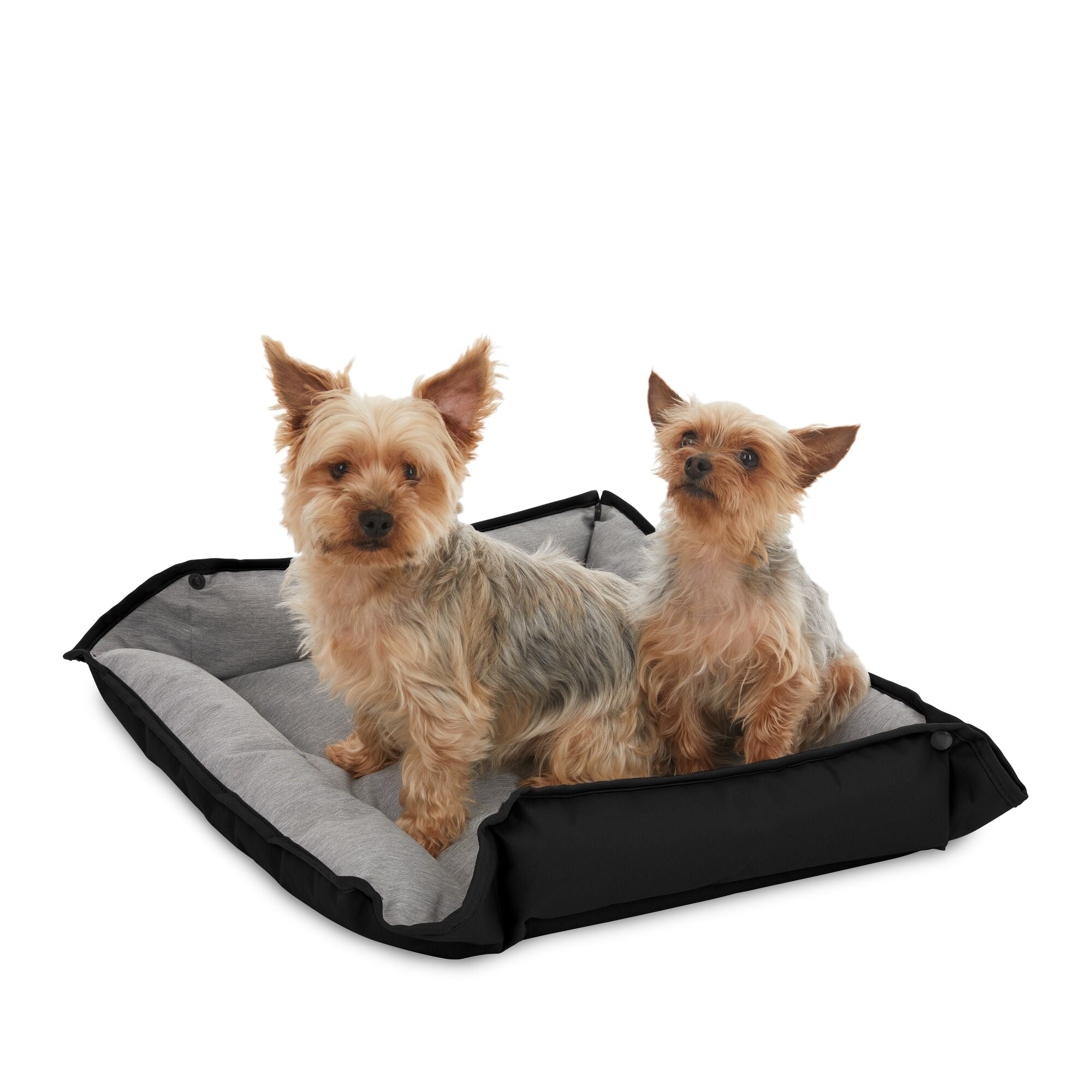 Four Way Pet Bed for Medium Dogs 24X20X3 In, Black