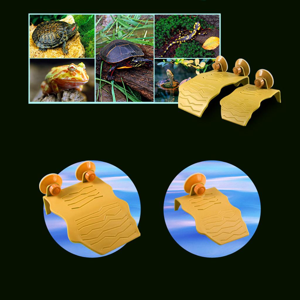 Turtle Pier Use Of Water Basking Platform For Small Reptiles L