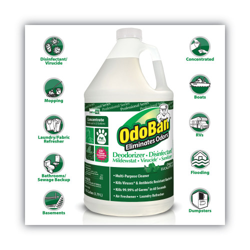 OdoBan Concentrated Odor Eliminator， Eucalyptus， 1 gal Bottle， 4/Carton (911062G4)