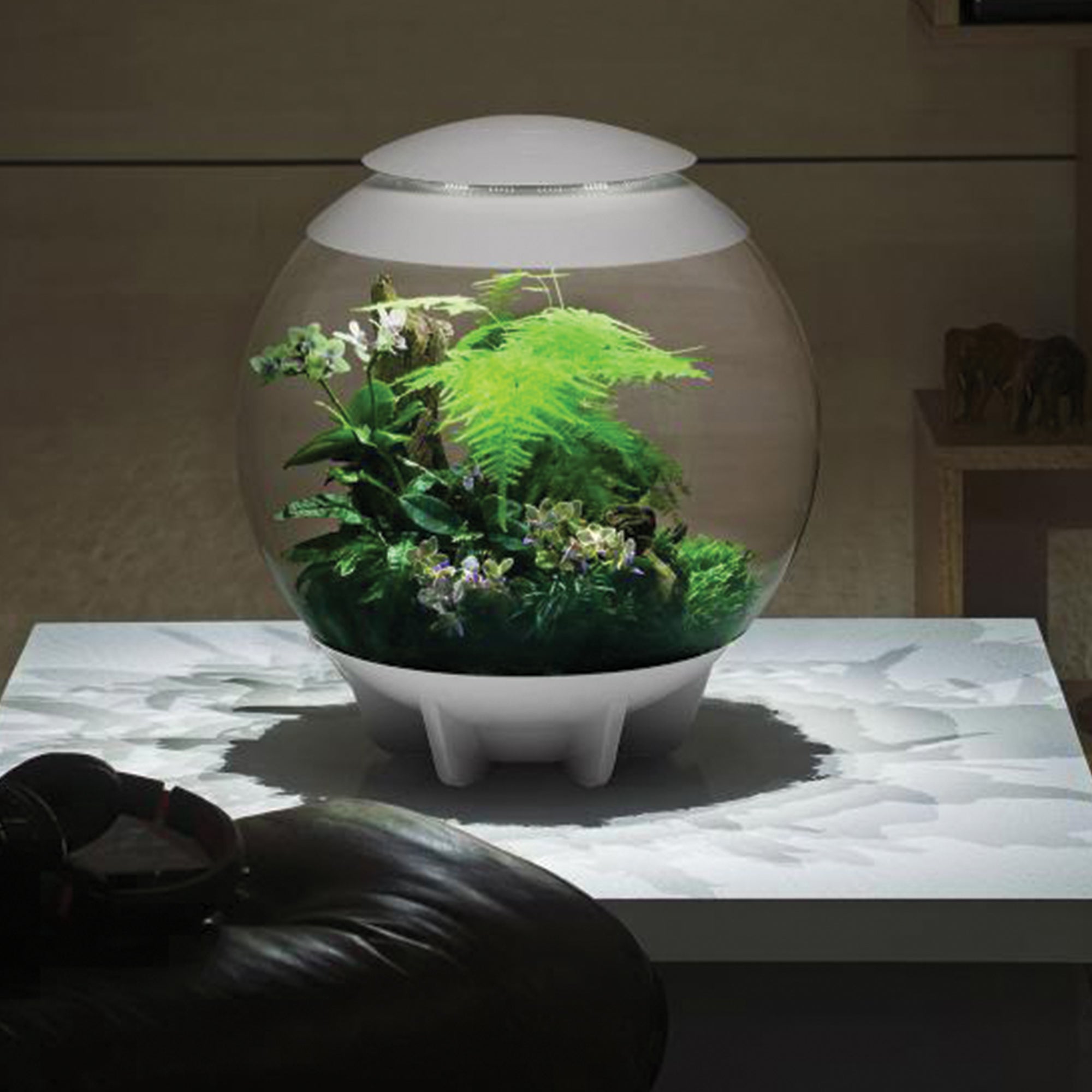 biOrbAIR 60 LED Terrarium - white