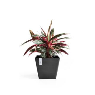 O ECOPOTS BY TPC Rotterdam 16 in. Dark Grey Premium Sustainable Planter ROT.40.DG